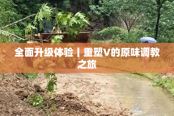 全面升级体验丨重塑V的原味调教之旅