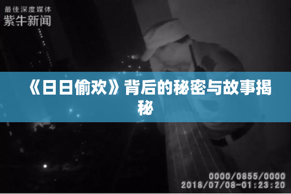《日日偷欢》背后的秘密与故事揭秘