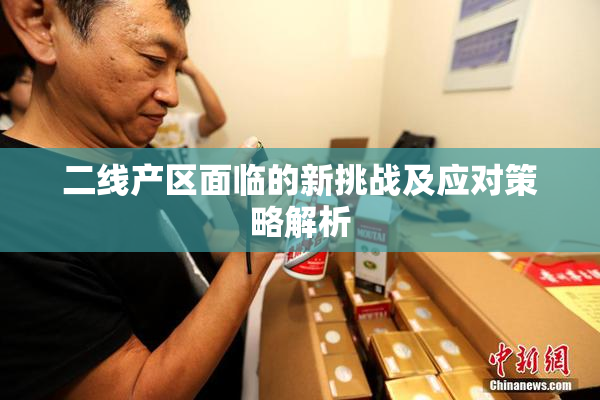 二线产区面临的新挑战及应对策略解析