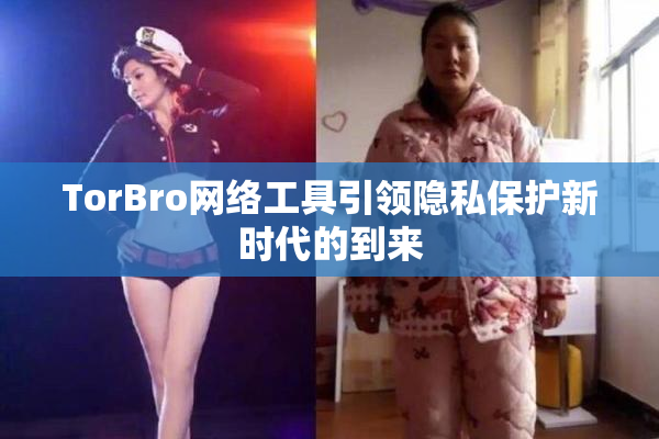 TorBro网络工具引领隐私保护新时代的到来