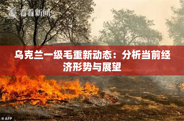 乌克兰一级毛重新动态：分析当前经济形势与展望