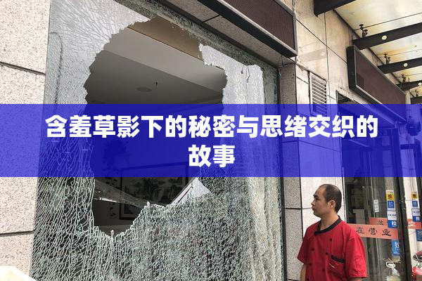 含羞草影下的秘密与思绪交织的故事