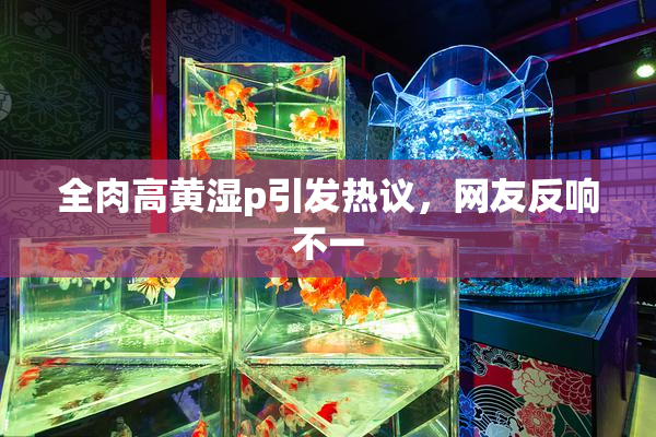 全肉高黄湿p引发热议，网友反响不一