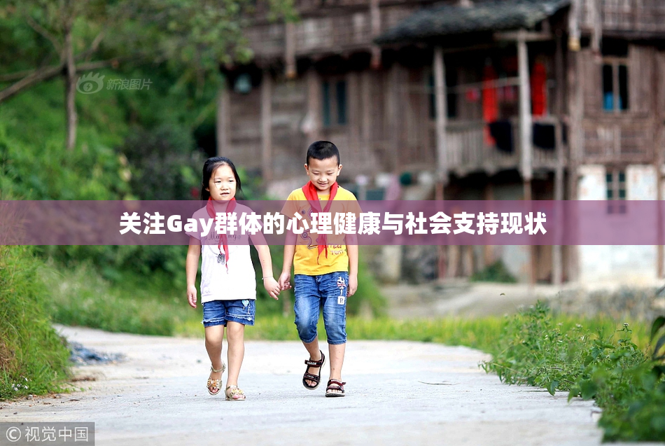 关注Gay群体的心理健康与社会支持现状