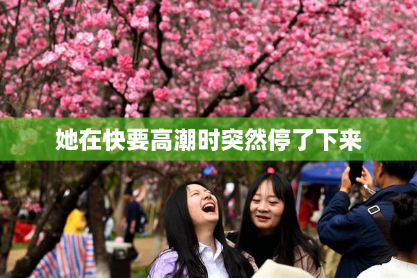 她在快要高潮时突然停了下来
