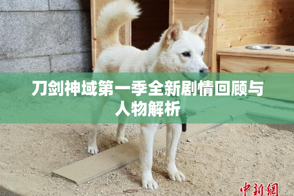 刀剑神域第一季全新剧情回顾与人物解析