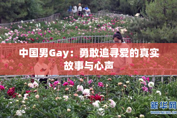 中国男Gay：勇敢追寻爱的真实故事与心声