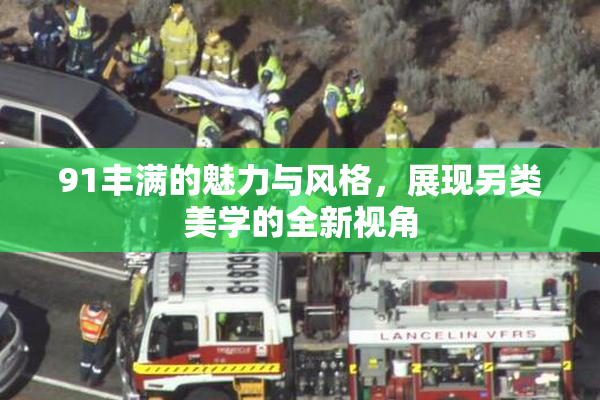 91丰满的魅力与风格，展现另类美学的全新视角