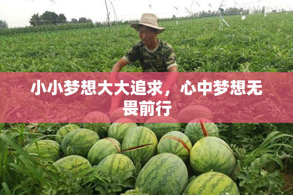 小小梦想大大追求，心中梦想无畏前行