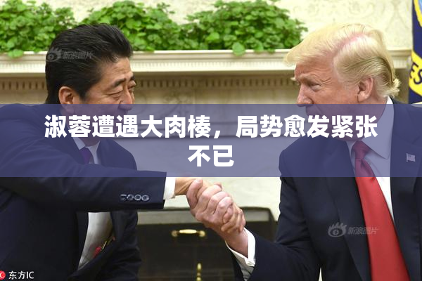 淑蓉遭遇大肉楱，局势愈发紧张不已