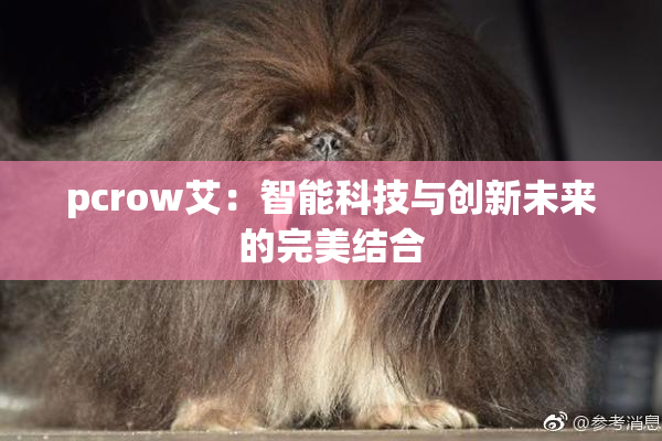 pcrow艾：智能科技与创新未来的完美结合