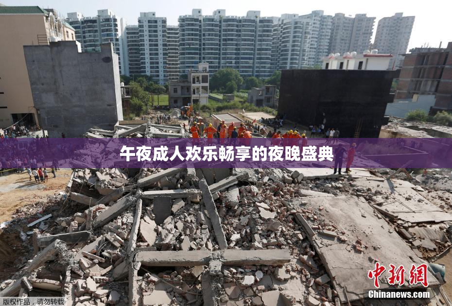 午夜成人欢乐畅享的夜晚盛典