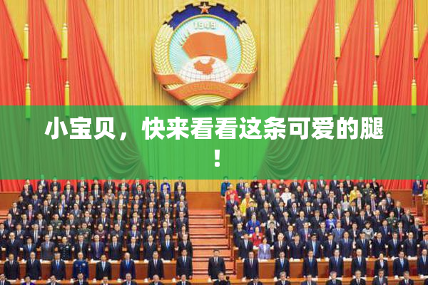 小宝贝，快来看看这条可爱的腿！
