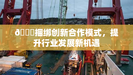 🔞捆绑创新合作模式，提升行业发展新机遇