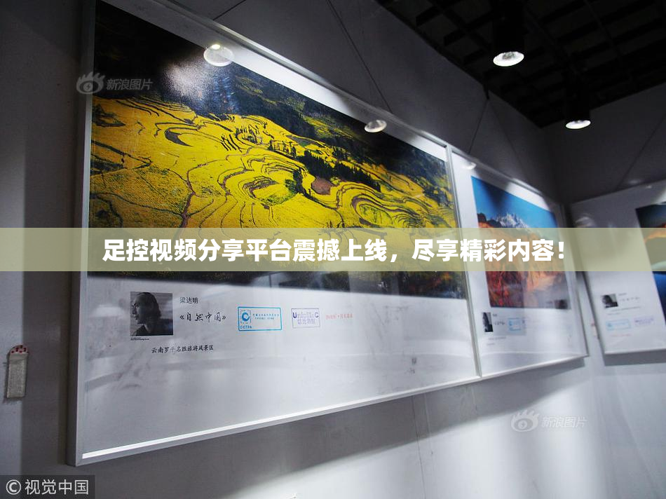 足控视频分享平台震撼上线，尽享精彩内容！