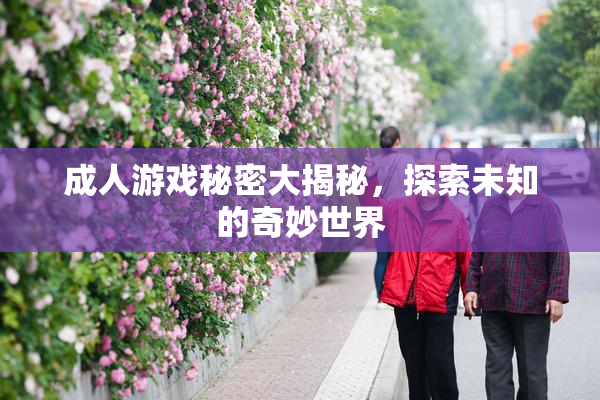 成人游戏秘密大揭秘，探索未知的奇妙世界