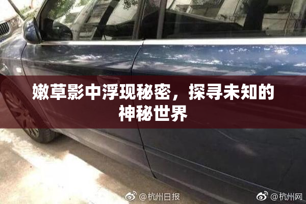 嫩草影中浮现秘密，探寻未知的神秘世界