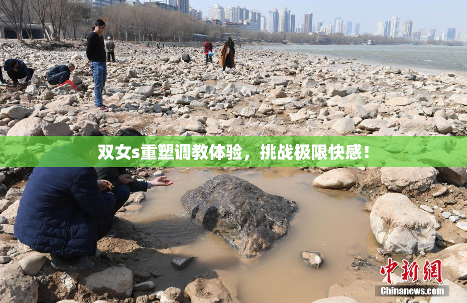双女s重塑调教体验，挑战极限快感！