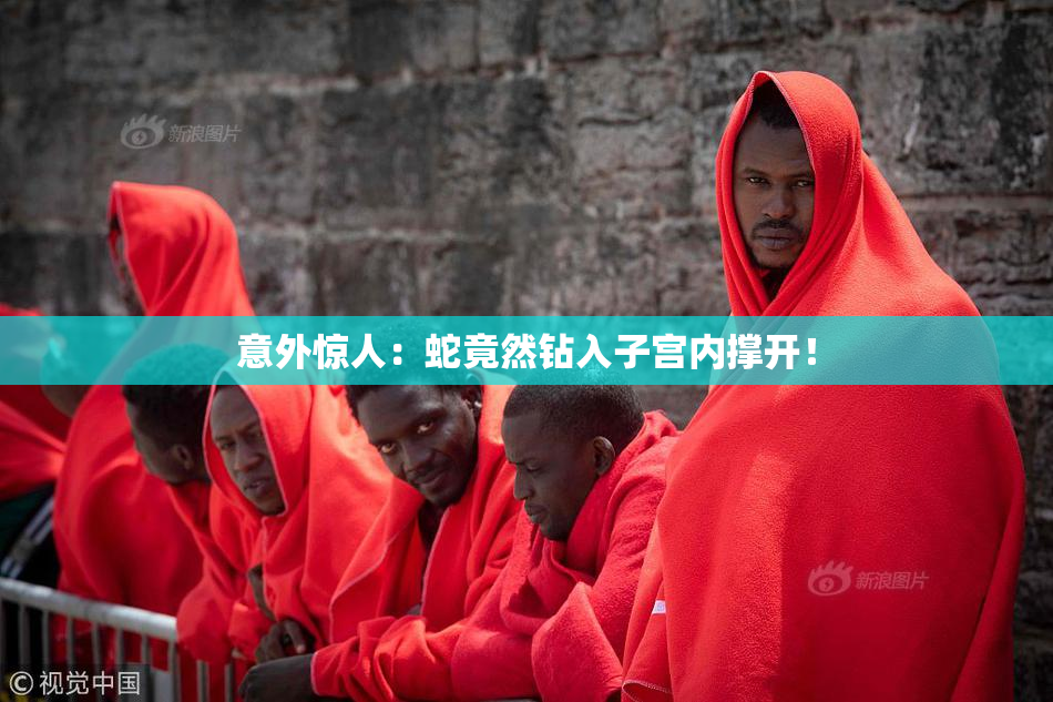 意外惊人：蛇竟然钻入子宫内撑开！