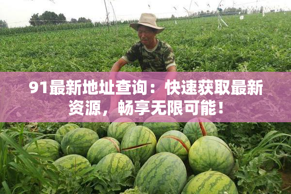 91最新地址查询：快速获取最新资源，畅享无限可能！