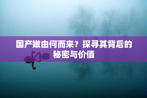 国产嫩由何而来？探寻其背后的秘密与价值