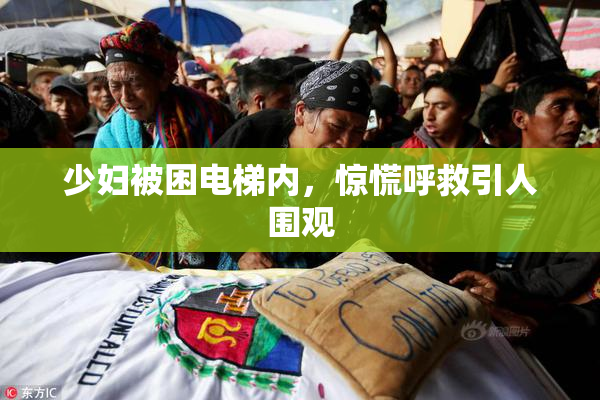 少妇被困电梯内，惊慌呼救引人围观