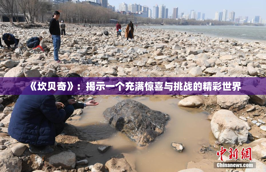 《坎贝奇》：揭示一个充满惊喜与挑战的精彩世界