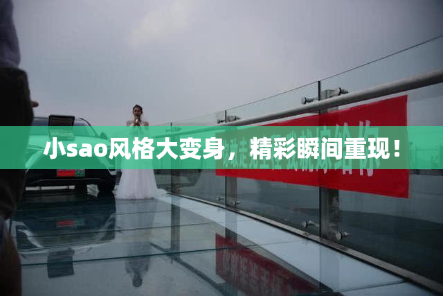 小sao风格大变身，精彩瞬间重现！