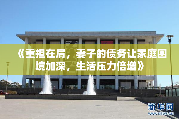 《重担在肩，妻子的债务让家庭困境加深，生活压力倍增》