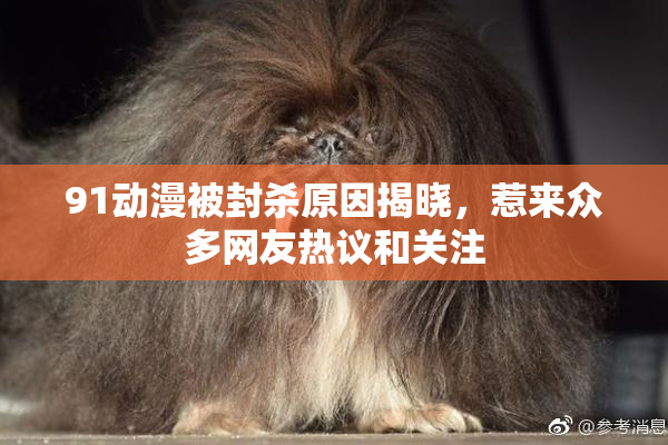 91动漫被封杀原因揭晓，惹来众多网友热议和关注