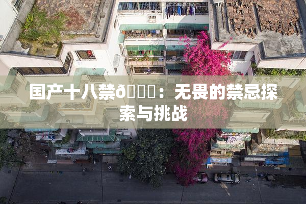 国产十八禁🔞：无畏的禁忌探索与挑战