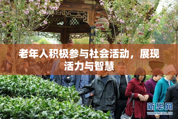 老年人积极参与社会活动，展现活力与智慧
