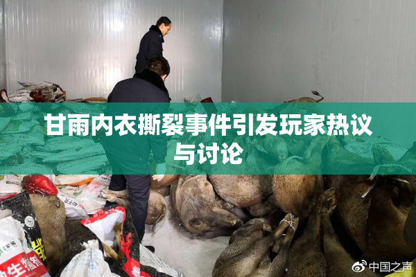 甘雨内衣撕裂事件引发玩家热议与讨论