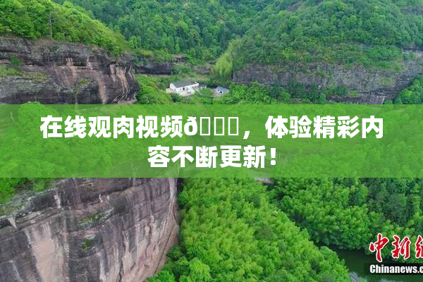 在线观肉视频🔞，体验精彩内容不断更新！
