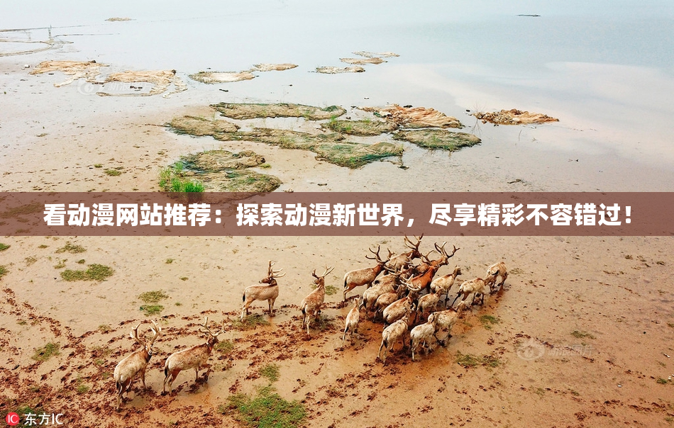 看动漫网站推荐：探索动漫新世界，尽享精彩不容错过！