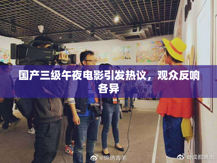 国产三级午夜电影引发热议，观众反响各异