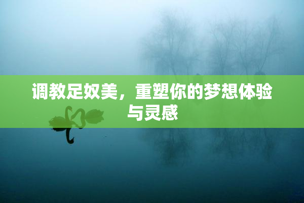 调教足奴美，重塑你的梦想体验与灵感