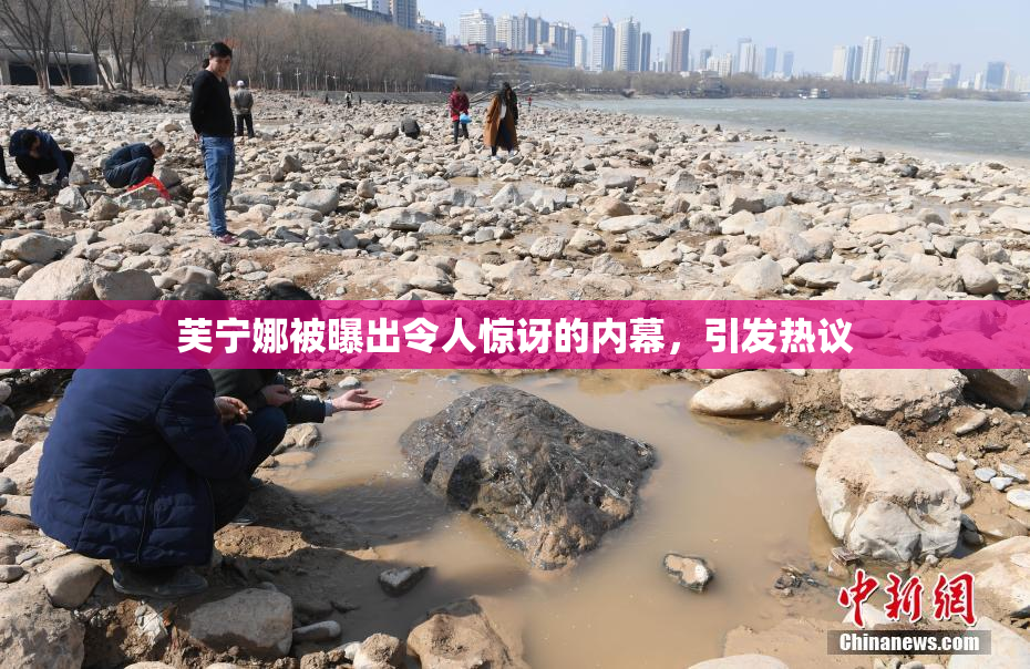 芙宁娜被曝出令人惊讶的内幕，引发热议