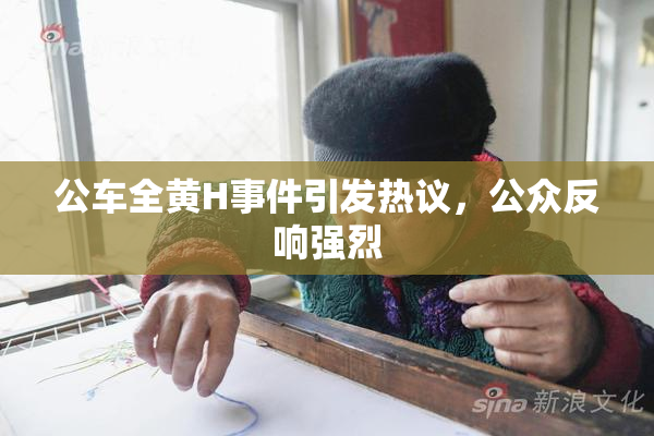 公车全黄H事件引发热议，公众反响强烈