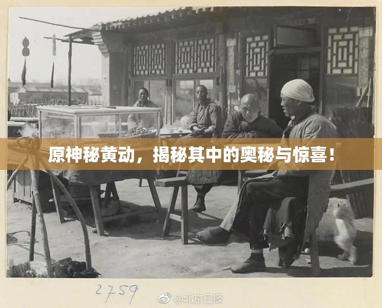 原神秘黄动，揭秘其中的奥秘与惊喜！