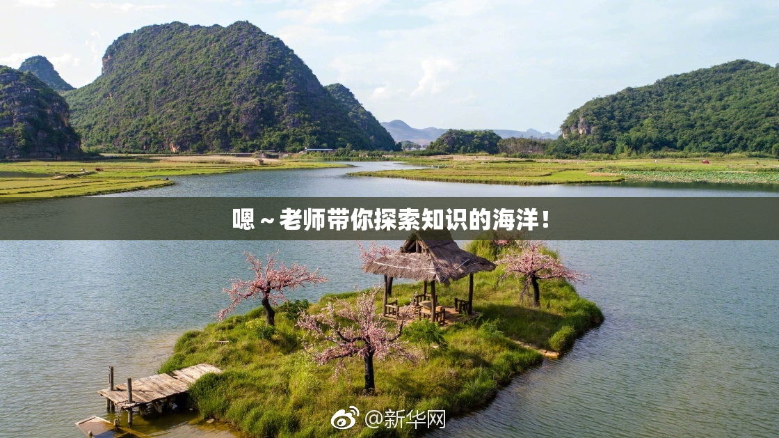 嗯～老师带你探索知识的海洋！