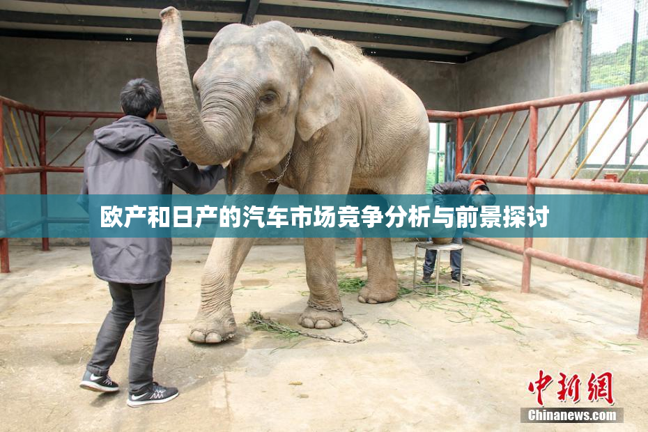 欧产和日产的汽车市场竞争分析与前景探讨