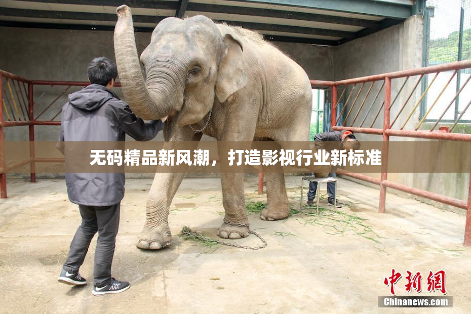 无码精品新风潮，打造影视行业新标准