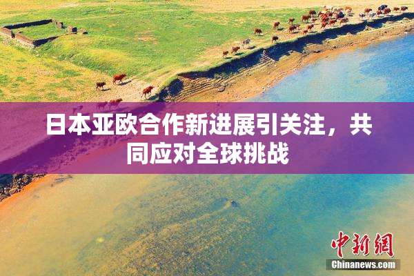 日本亚欧合作新进展引关注，共同应对全球挑战