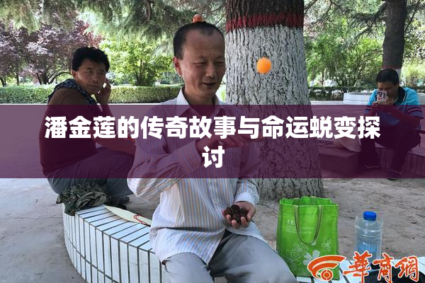 潘金莲的传奇故事与命运蜕变探讨