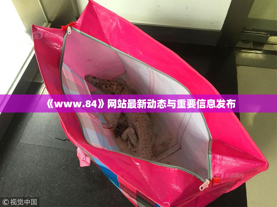 《www.84》网站最新动态与重要信息发布