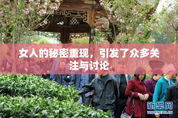 女人的秘密重现，引发了众多关注与讨论