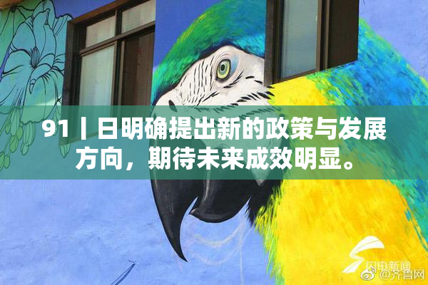 91丨日明确提出新的政策与发展方向，期待未来成效明显。