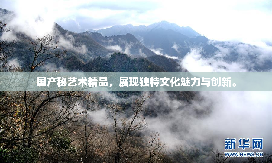 国产秘艺术精品，展现独特文化魅力与创新。