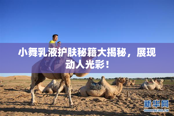 小舞乳液护肤秘籍大揭秘，展现动人光彩！